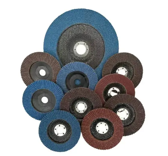 Assortiment de disques à lamelles de plusieurs grains